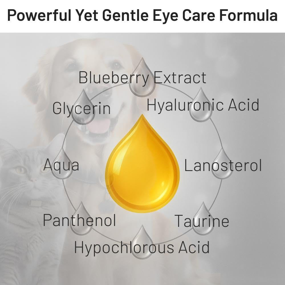 Application quotidienne avec Veterra — potentiel soulagement de l'irritation oculaire chez le chat.