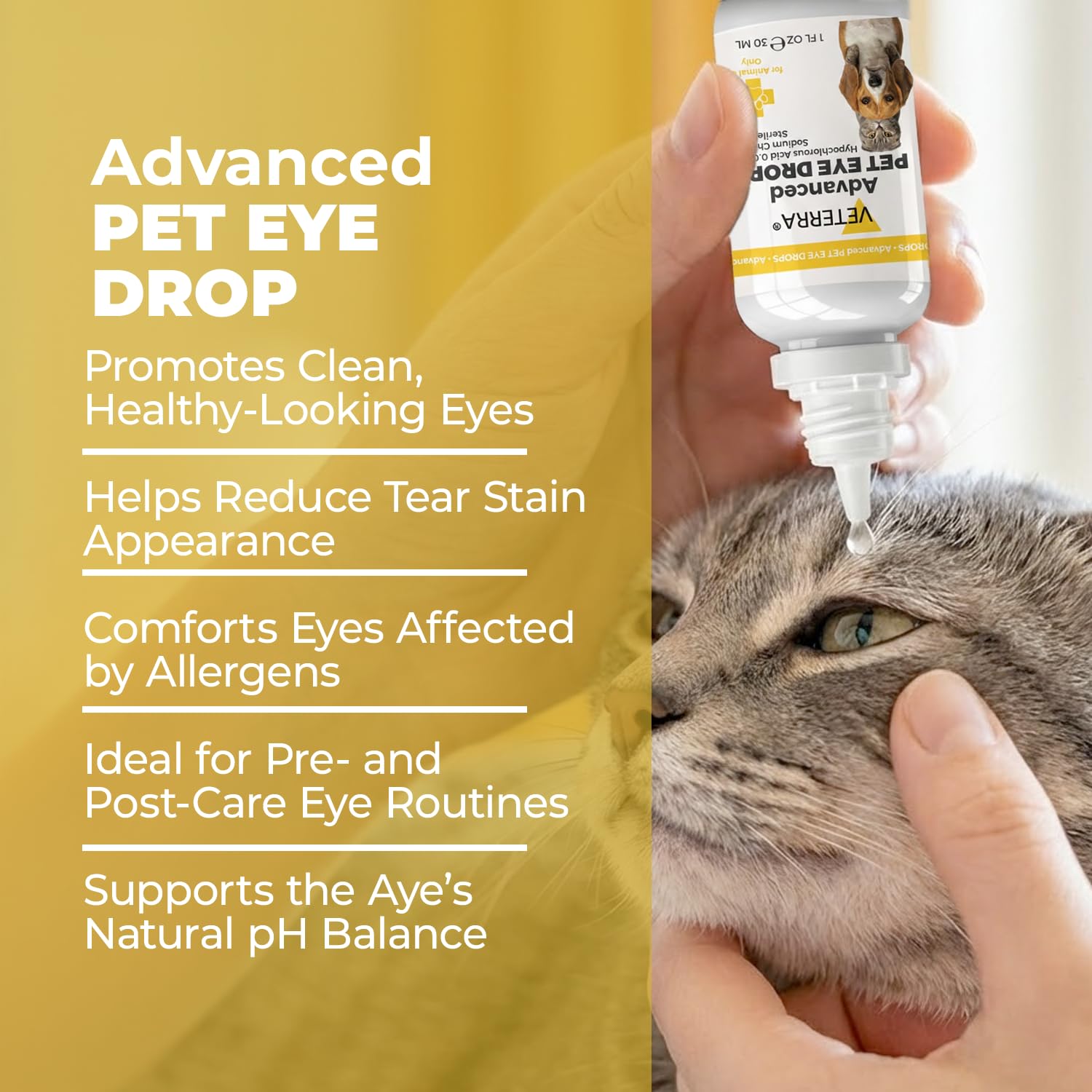 Application douce avec Veterra pour yeux sensibles des animaux.
