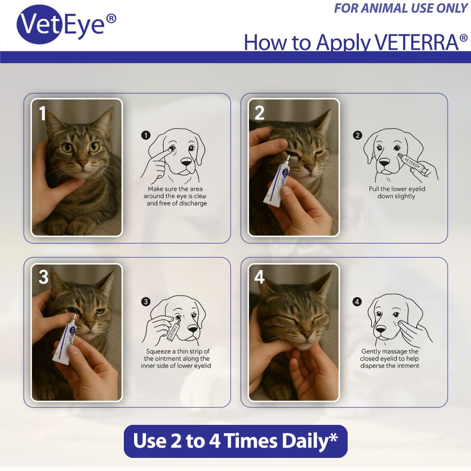 VetEye application oculaire animaux facilite les soins sans accessoires.