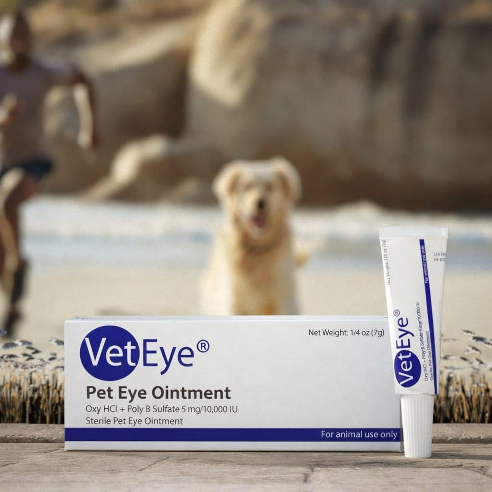 VetEye formulation creme oculaire peut aider lors d'inflammations oculaires chez les animaux.