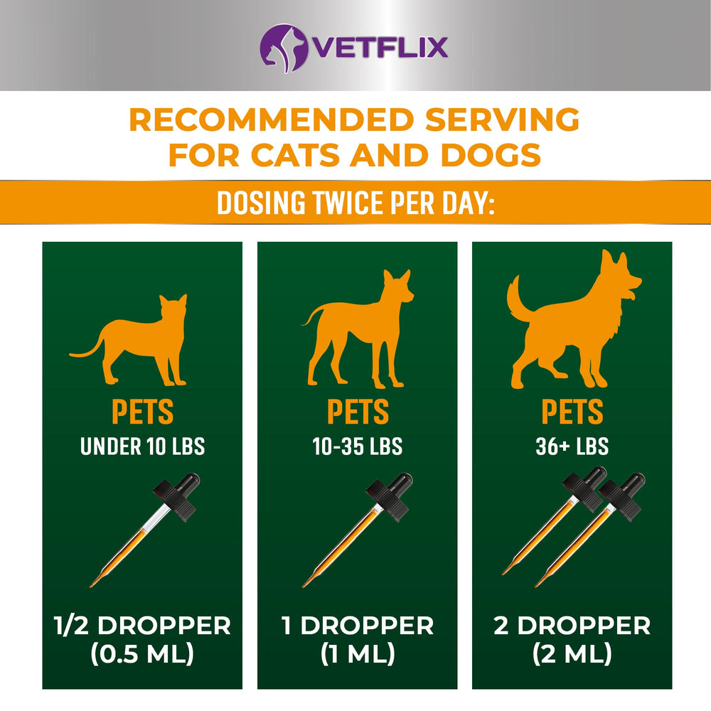 Vetflix Allergie et Immunité – étiquette claire sur l'emballage.