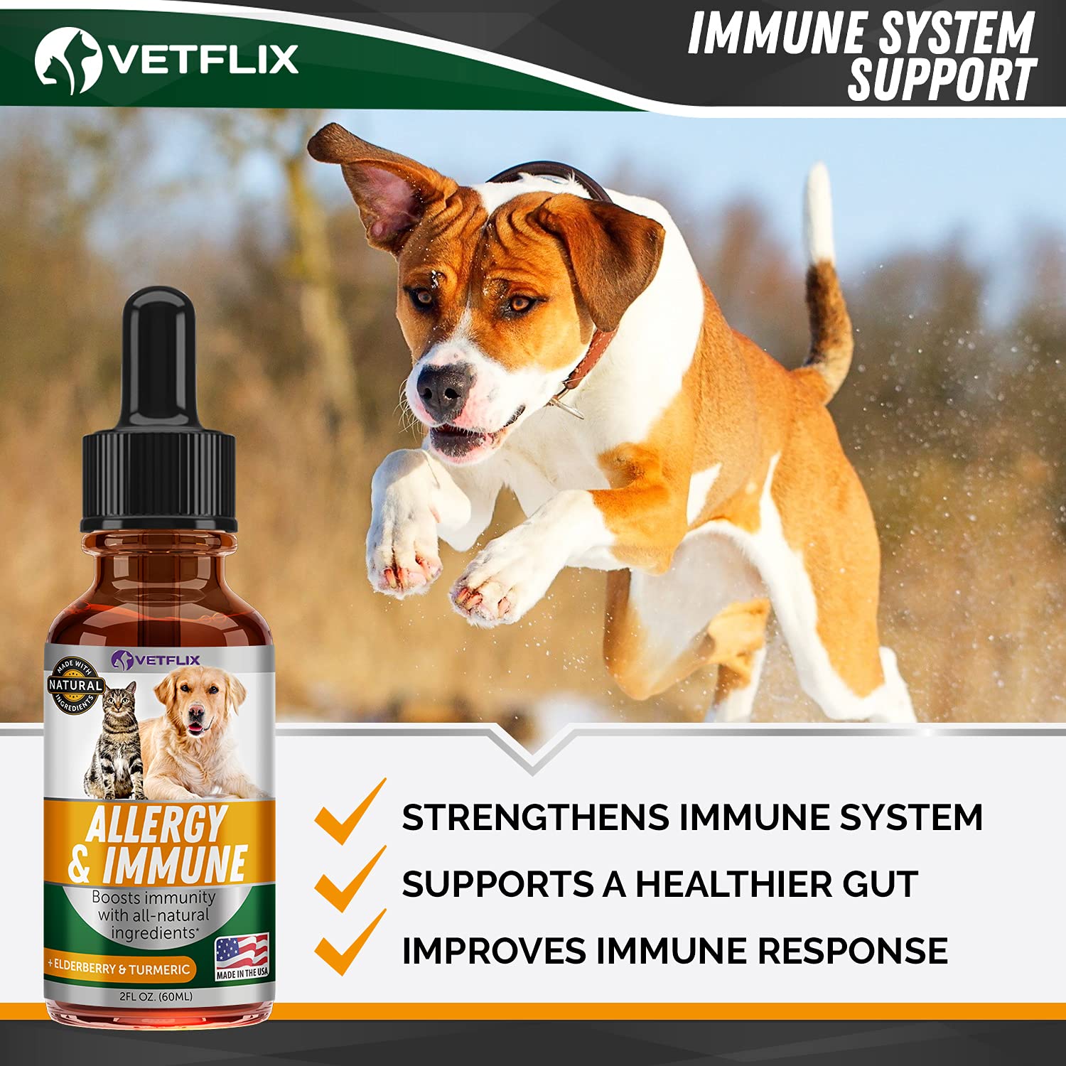 Vetflix Ingrédients curcuma et chardon-marie – formulation naturelle.