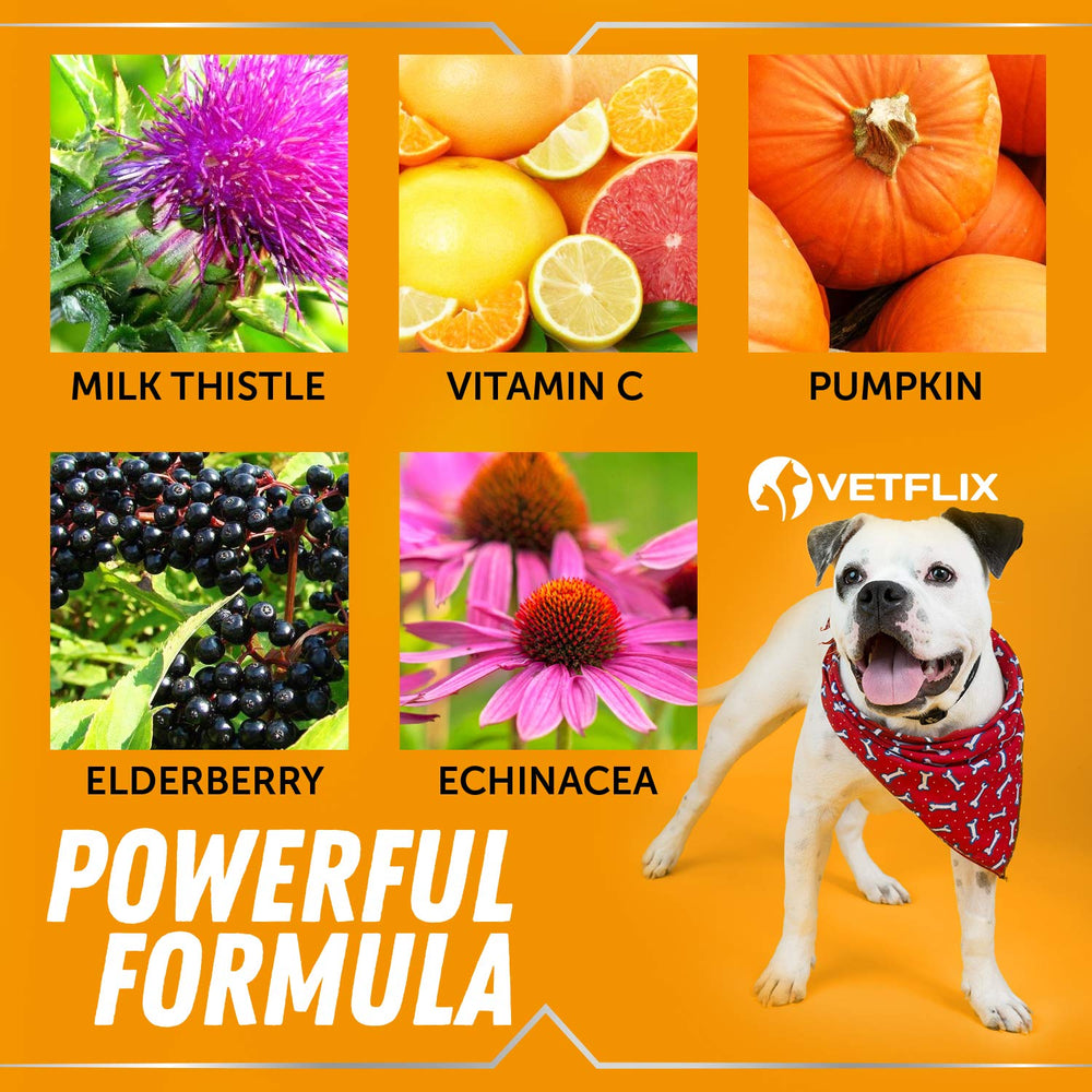 Vetflix Vitamine C et extraits d'herbes – soutien nutritionnel.