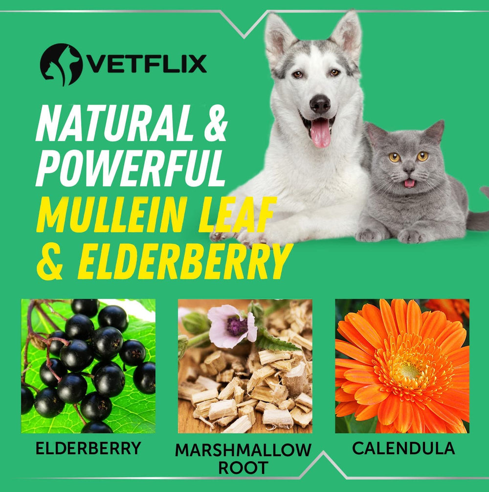 Vetflix Toux Relief Chien - Chien utilisant le produit, administration pratique à domicile.