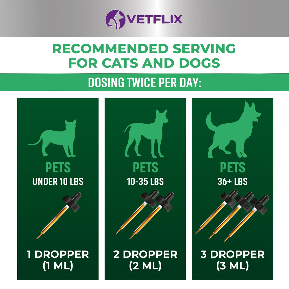 Vetflix Toux Relief - Pipette doseuse en main, administration pratique pour petits et grands chiens.