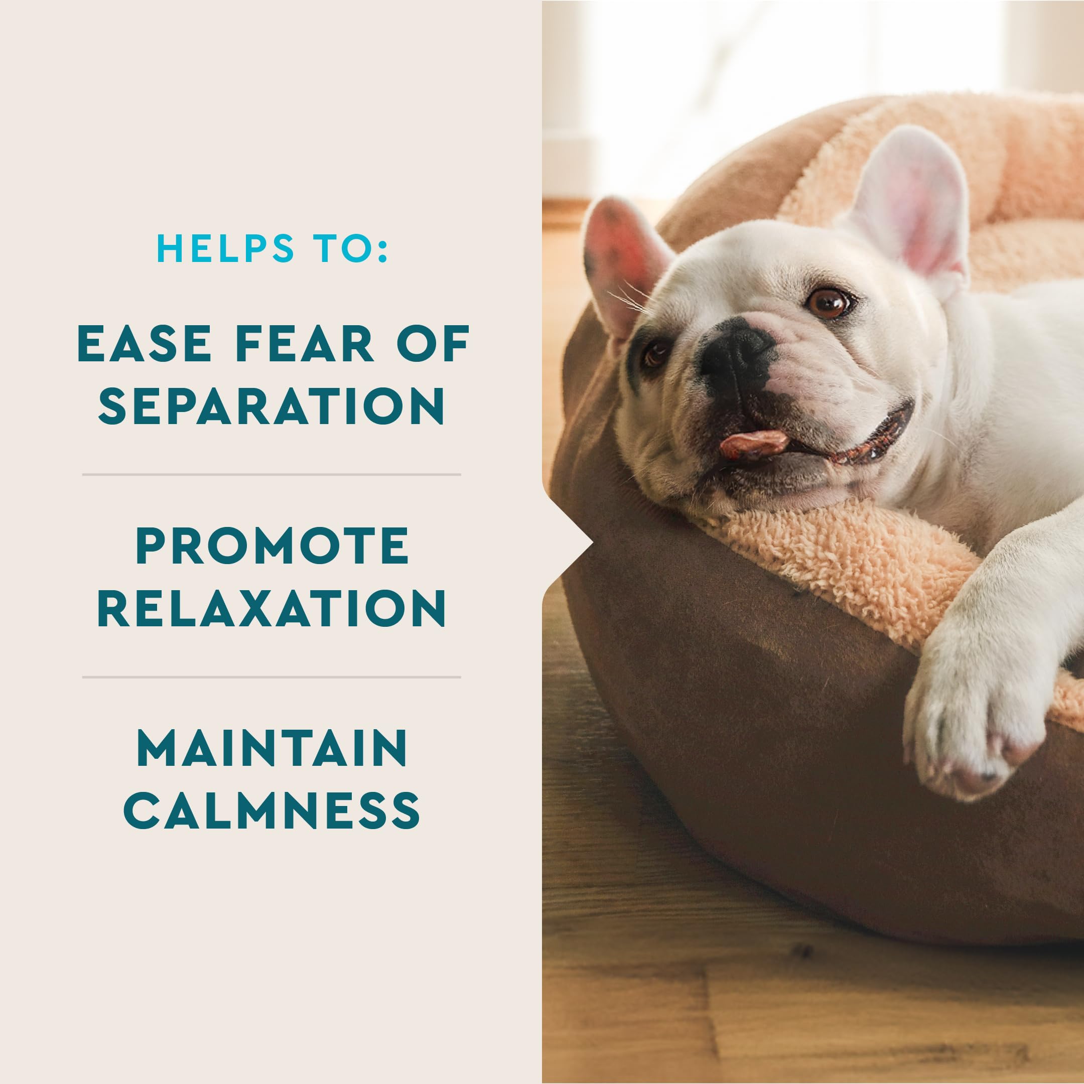 VetIQ Advanced Calming - chien relaxé sur canapé, moment de calme.