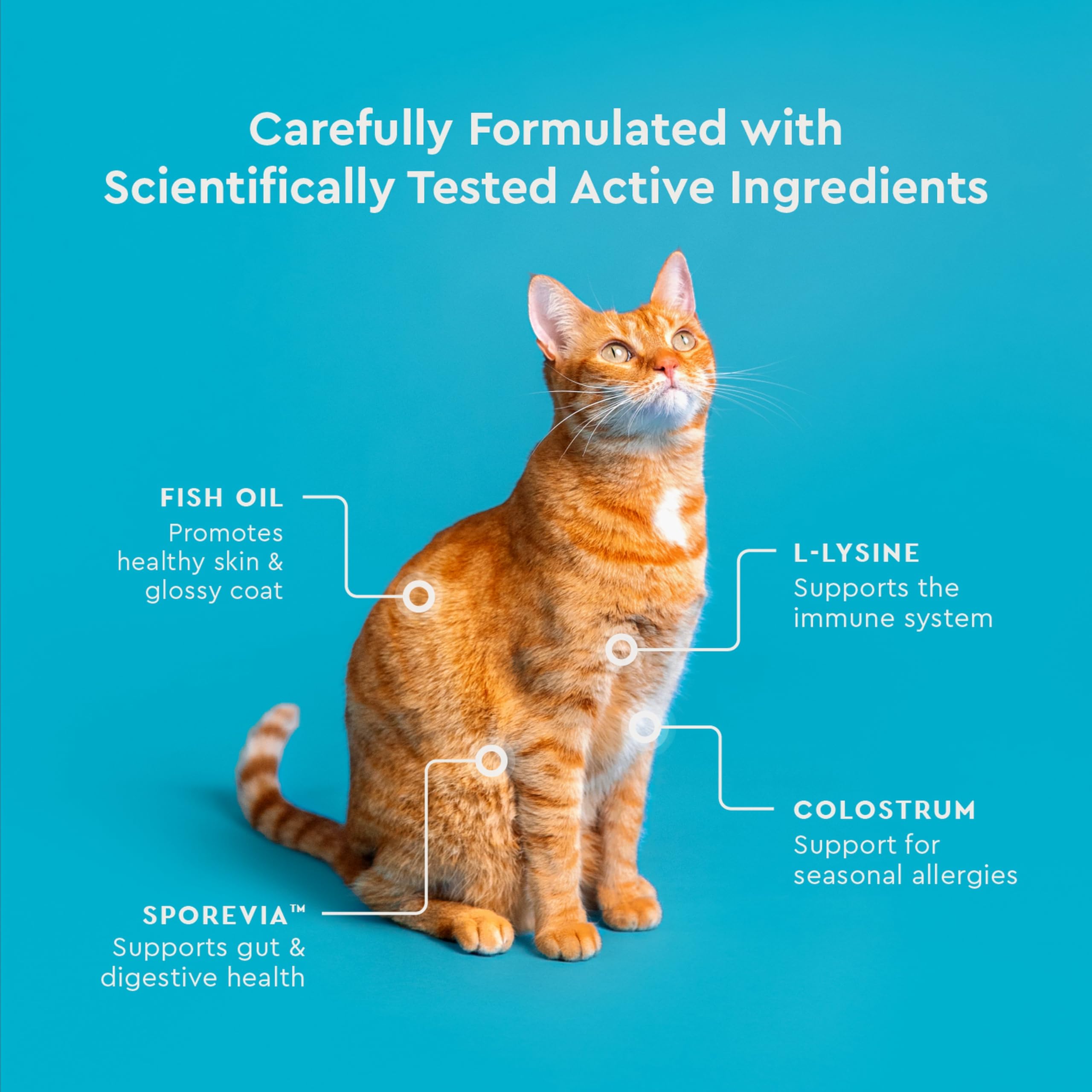 VetIQ Allergy Pro+ Emballage US et ingrédients de qualité, sécurité assurée.