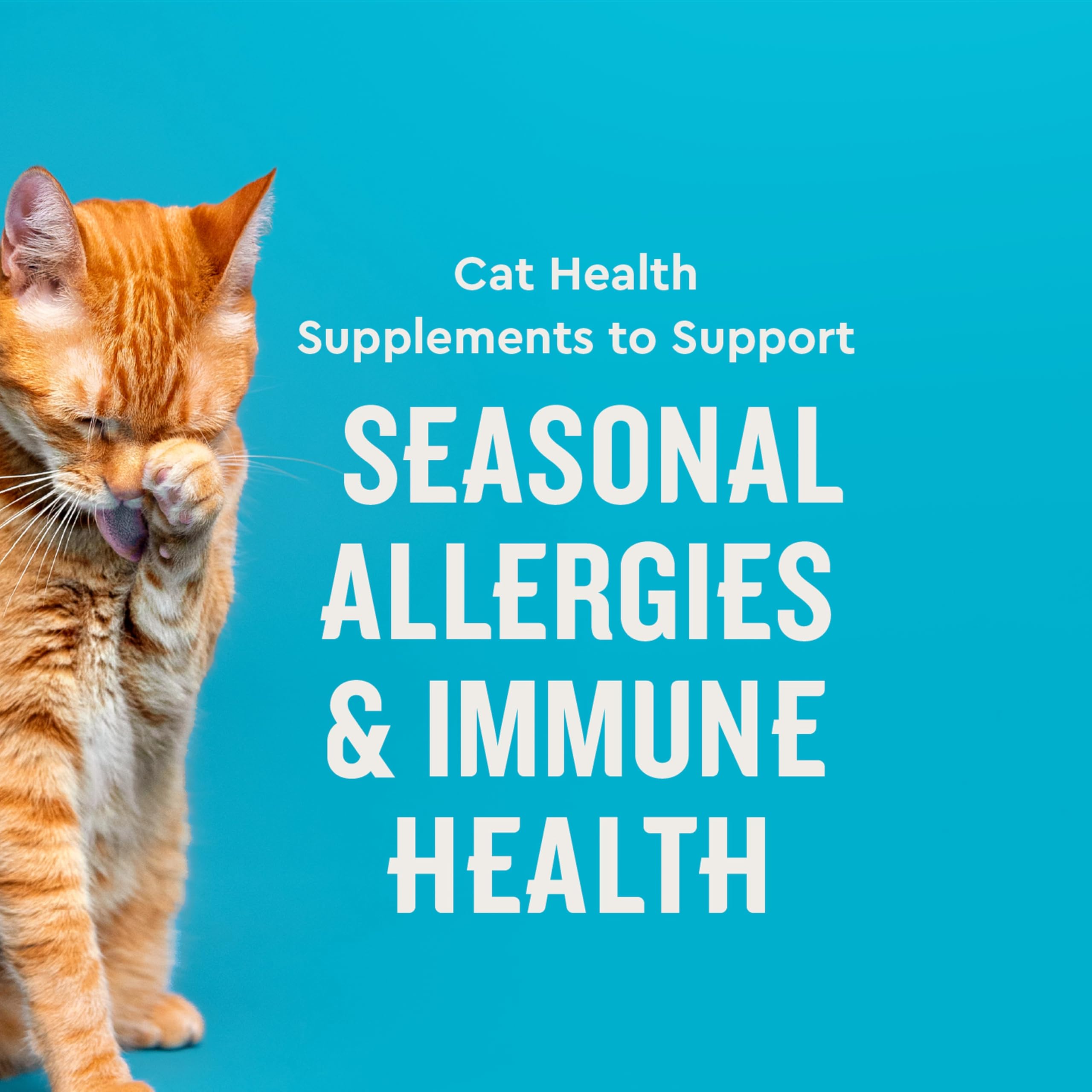 VetIQ Allergy Pro+ Lysine immunité chat, soutien potentiel contre irritants saisonniers.