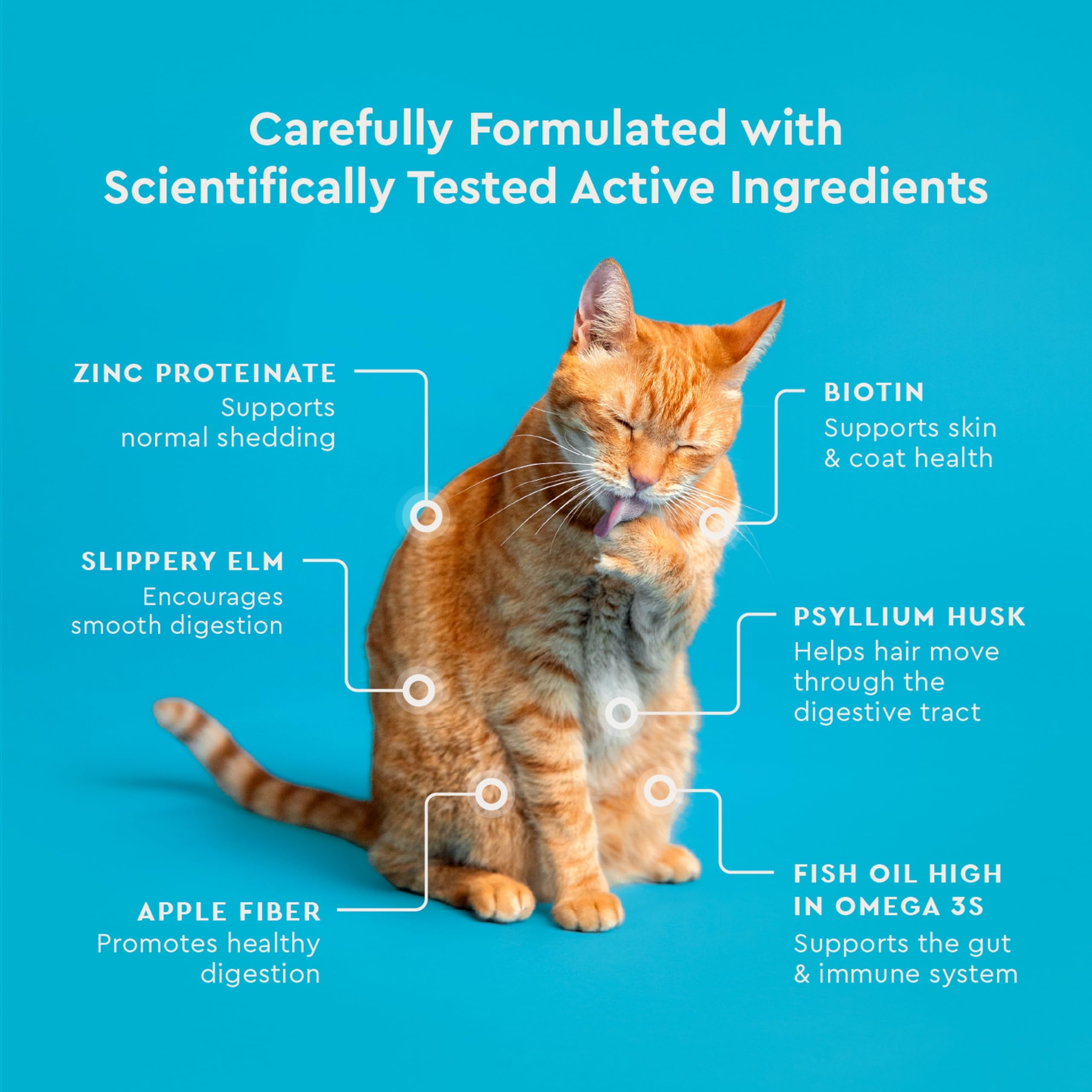 Biotine et zinc protéinate pour la peau et le pelage du chat