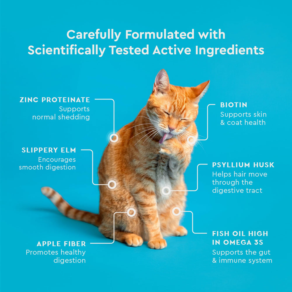 Biotine et zinc protéinate pour la peau et le pelage du chat