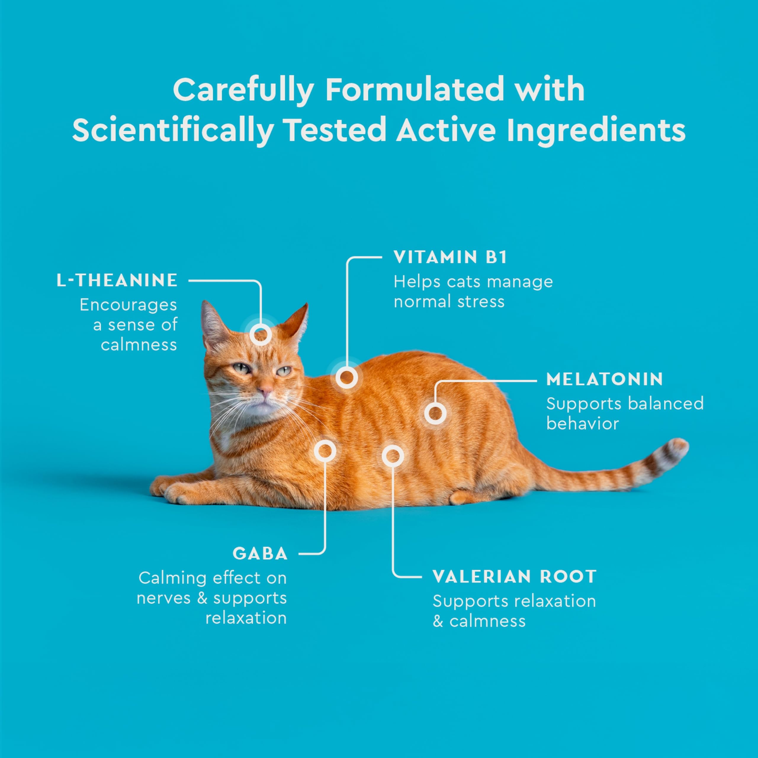 VetIQ Cat Calming Chews associe poulet et graisses pour une gourmandise rassurante.