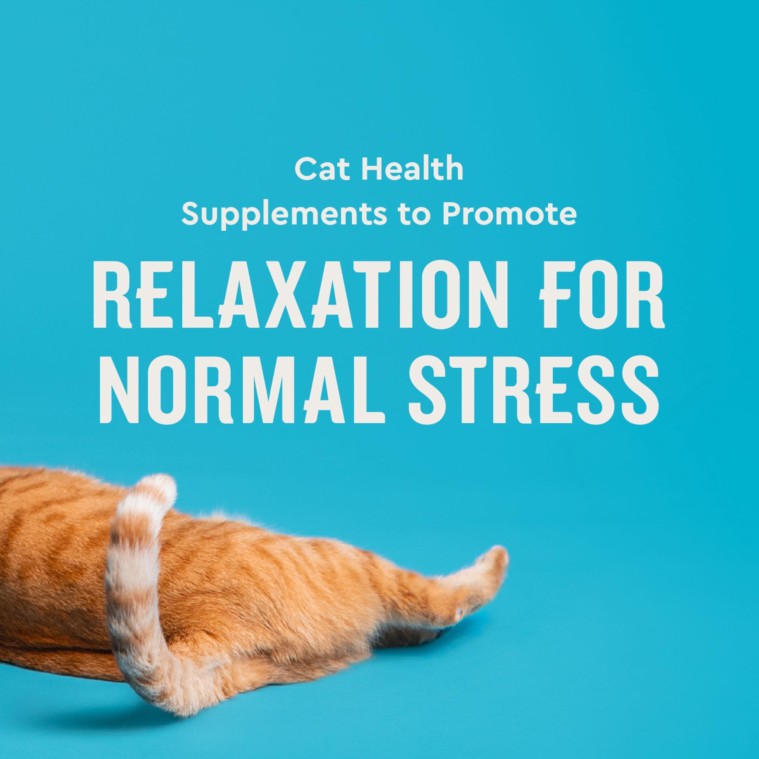VetIQ Cat Calming Chews mêle mélatonine et GABA pour soutenir le calme pendant les trajets.
