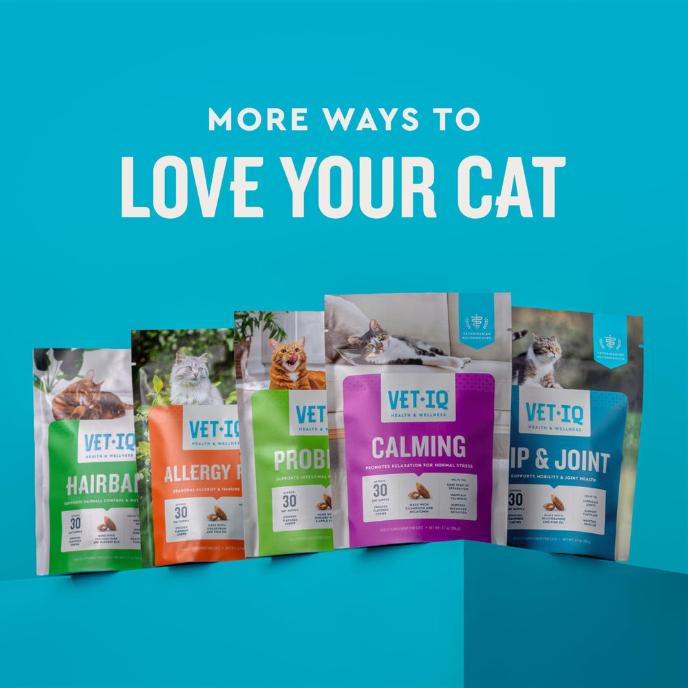 VetIQ Cat Calming Chews peut être utile lors des trajets en voiture et des situations stressantes.