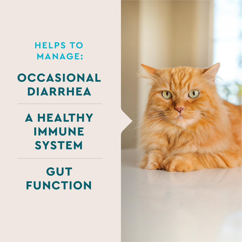 VetIQ Probiotique pour chat, dose pré-mesurée — dosage précis dans chaque sachet.