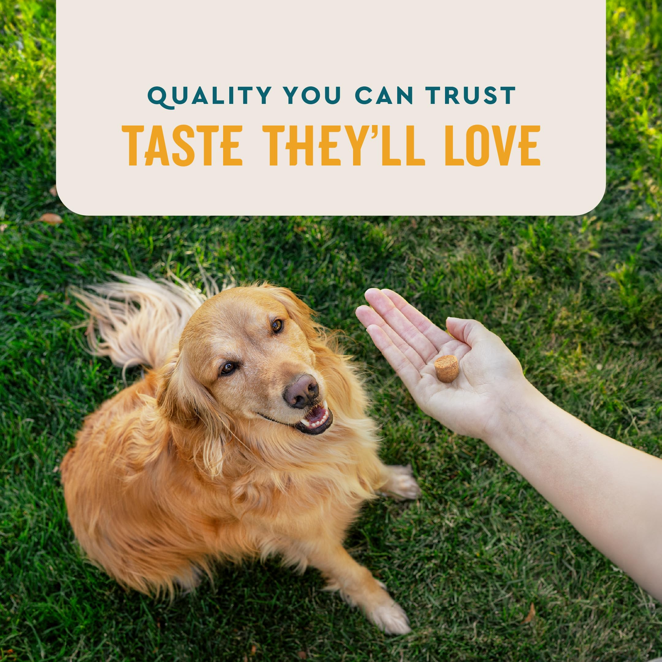 VetIQ, ingrédients-naturels-chien, formulation sans produits chimiques ajoutés