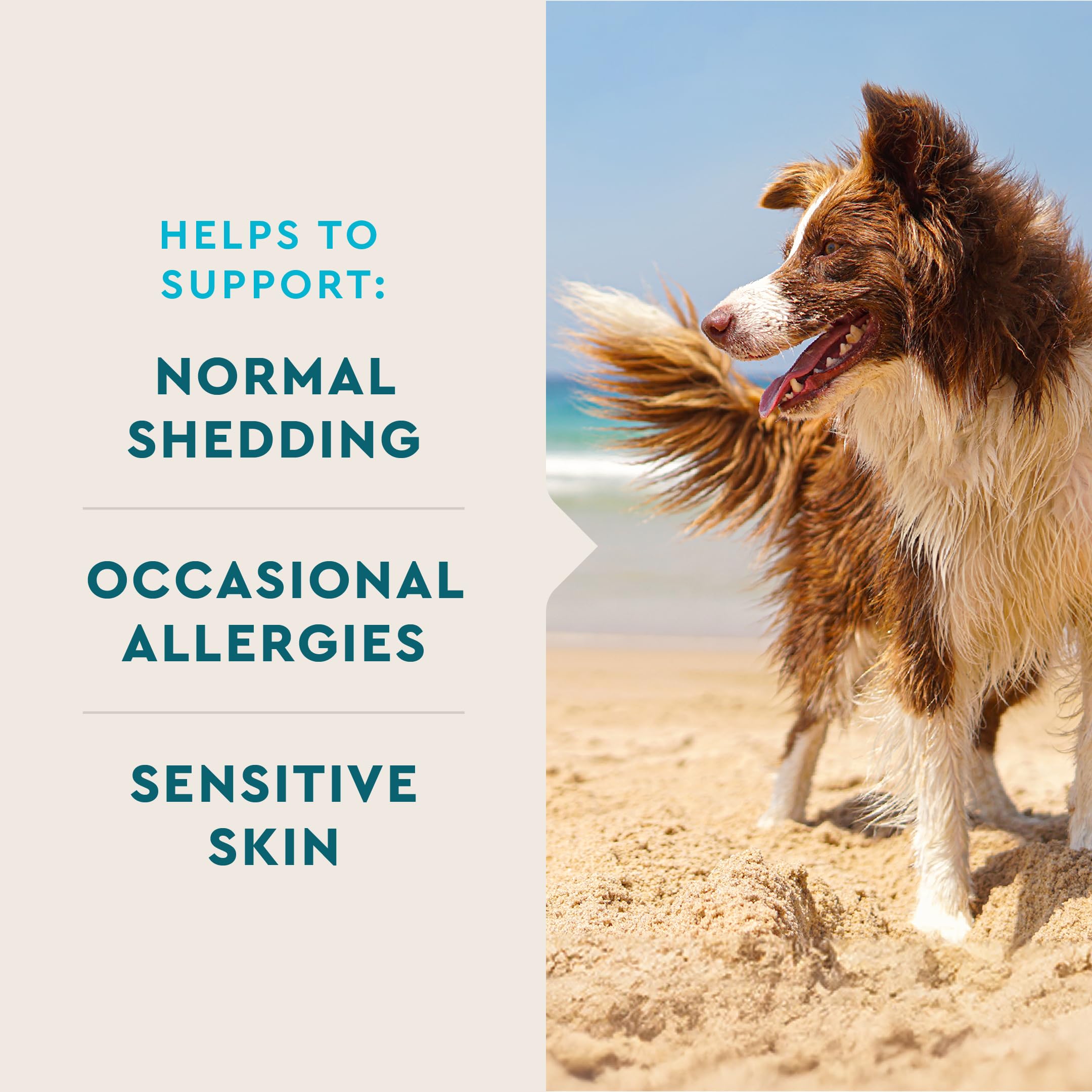 VetIQ oméga-3-6-9 chiens; nutriments essentiels pour pelage et peau équilibrés.