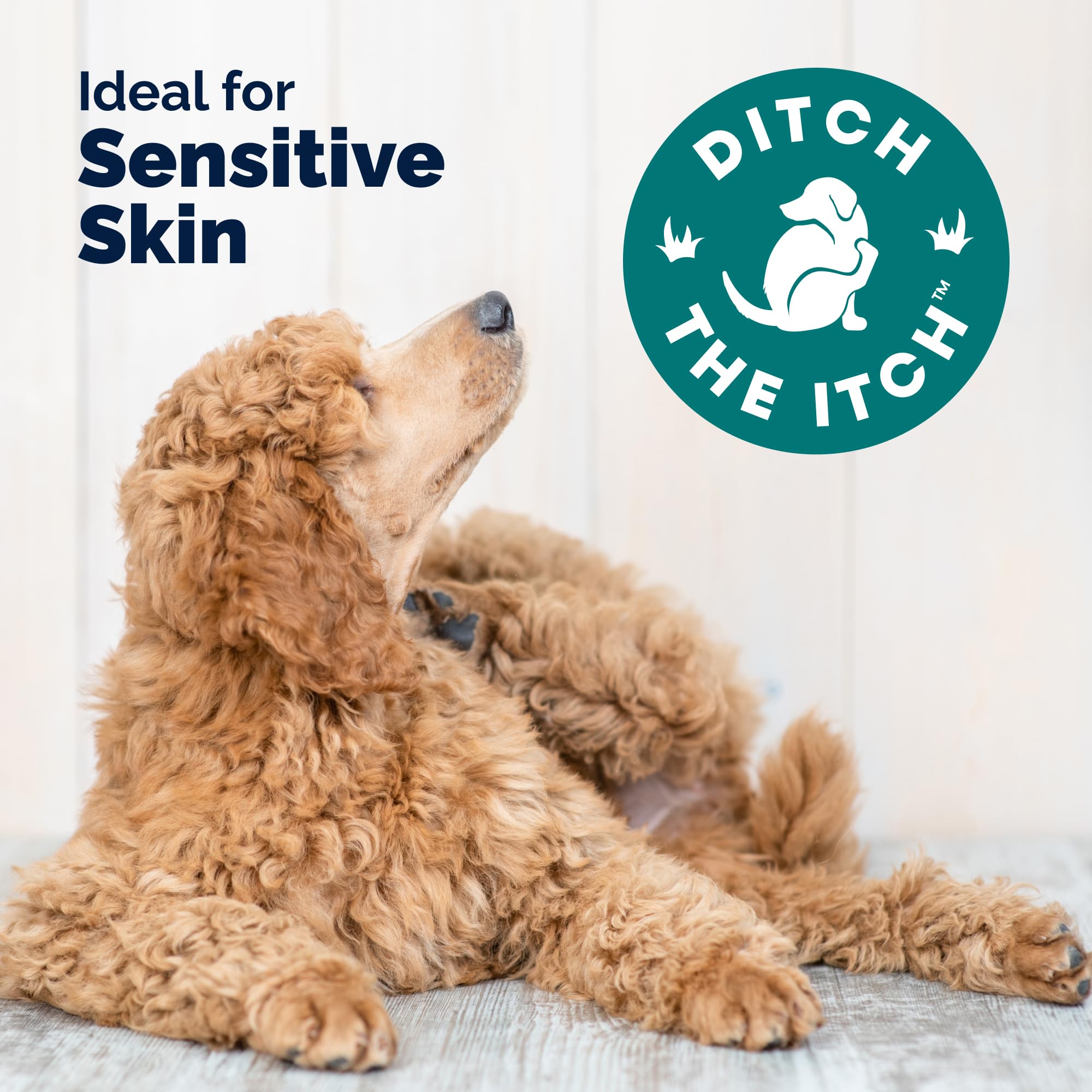 Soutien peau et intestin DermaBliss, formulation complète
