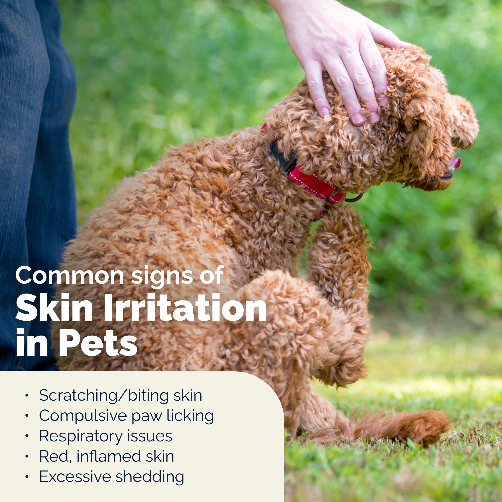 Effet antiseptique doux et sûr sur la peau du chien.