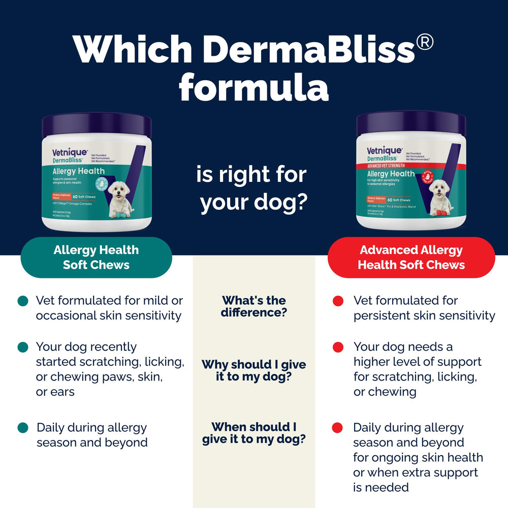 Vetnique DermaBliss – oméga-3 et ingrédients clés pour peau et gut.