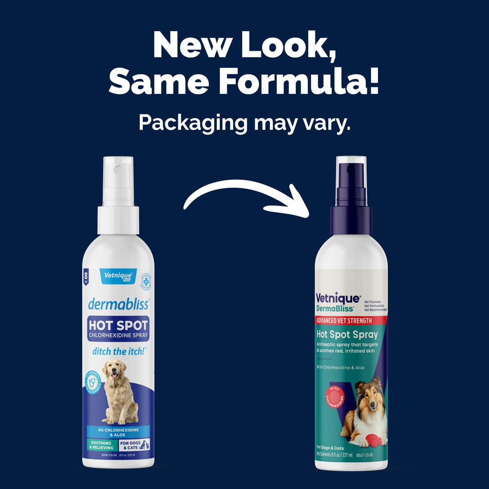 Dermabliss: Spray chlorhexidine 4% pour zones irritées du chien.
