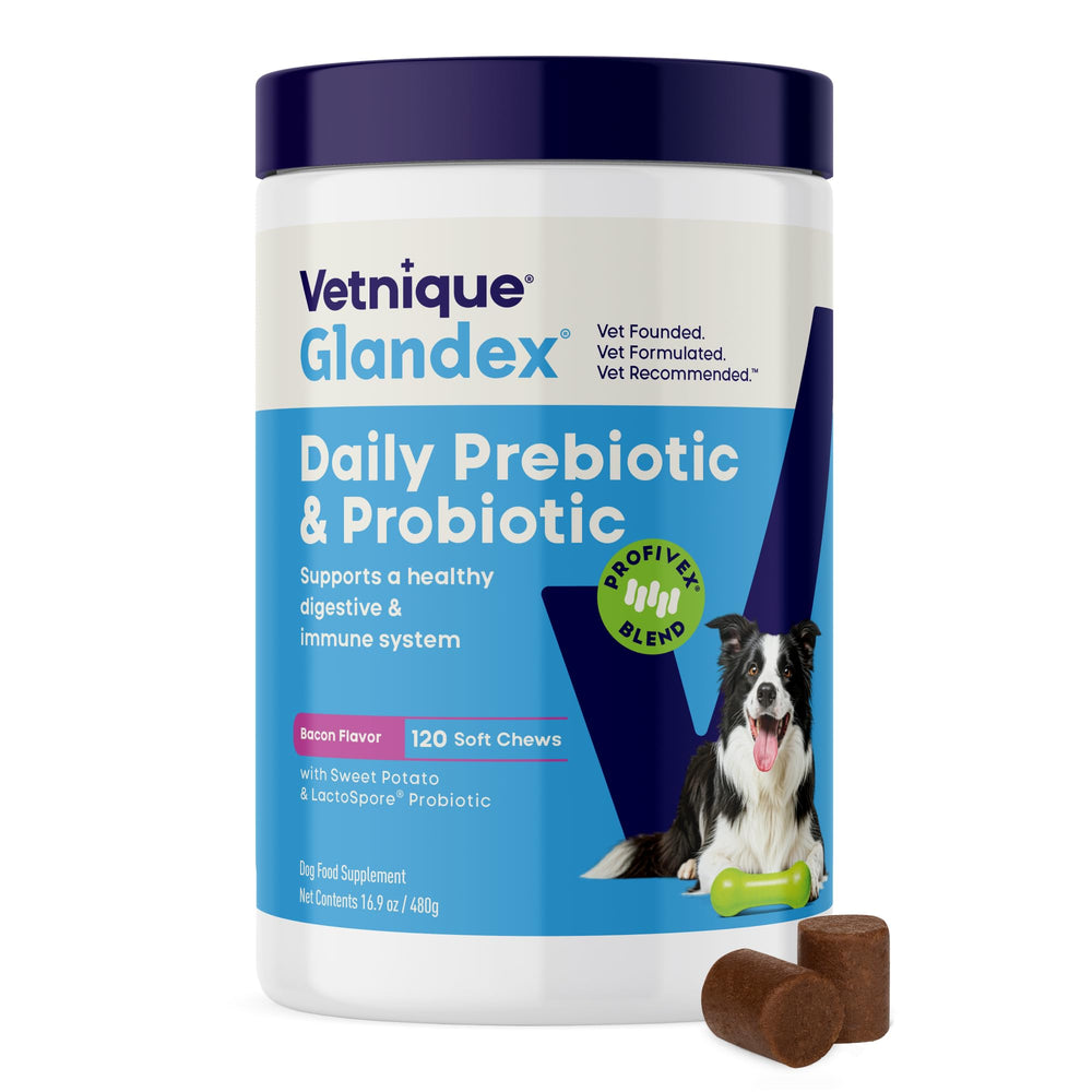 Glandex Vetnique – bouchées bacon, soutien digestif quotidien pour chien.