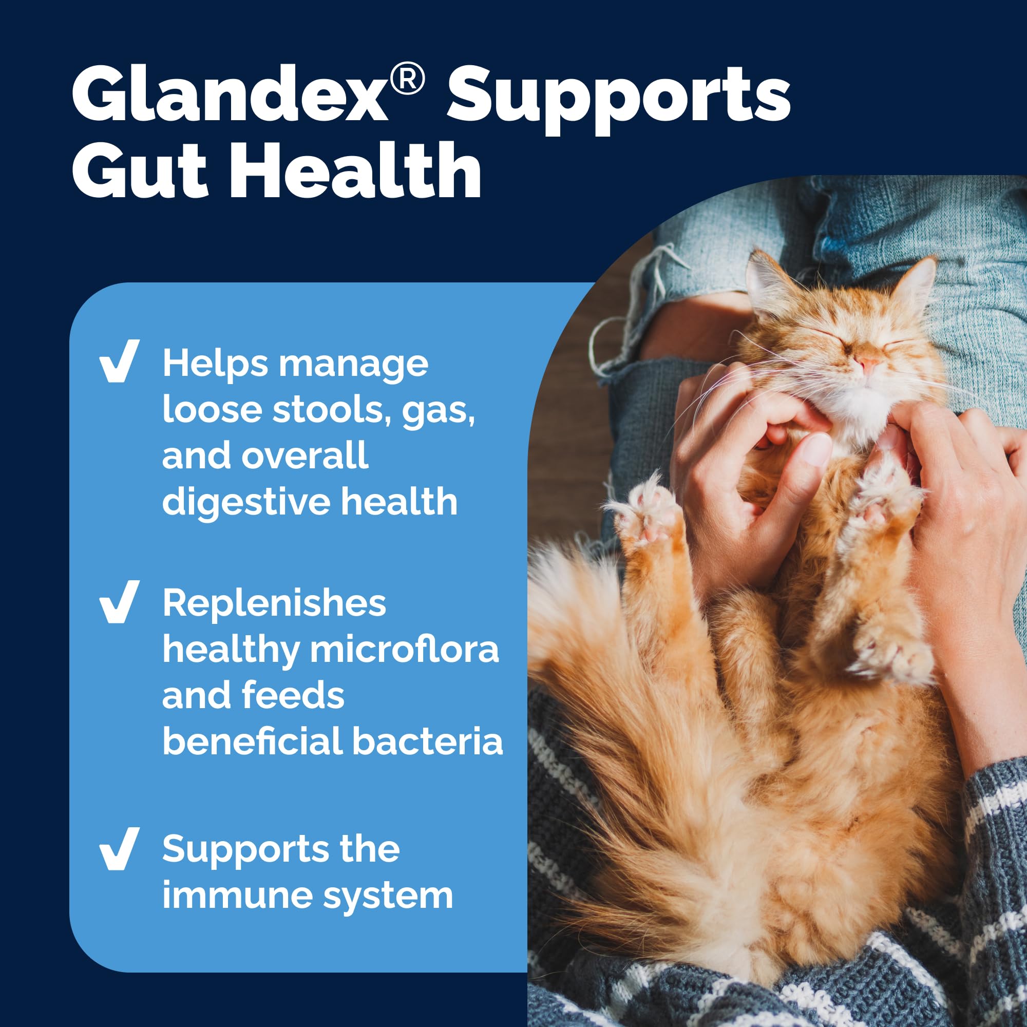 Vetnique Glandex Chat digeste-poudre-thon: ajout facile à l'alimentation