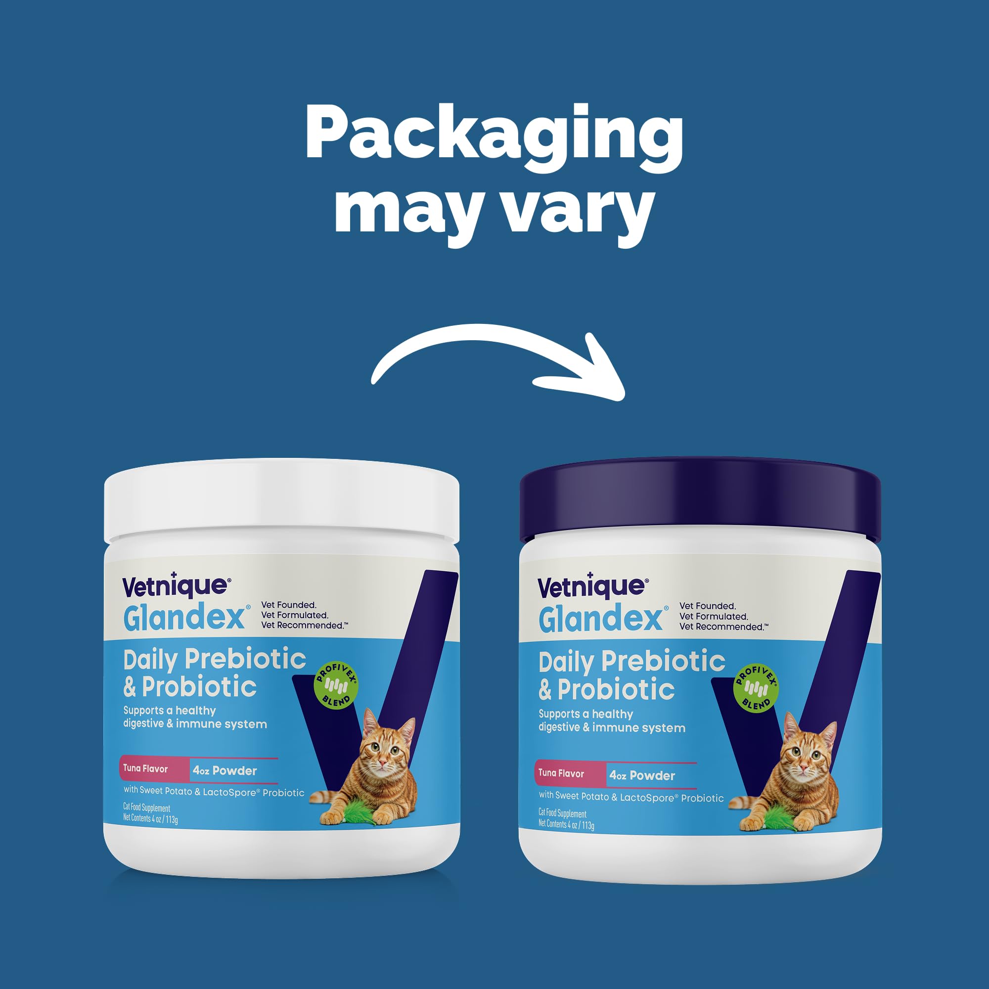 Vetnique Glandex Chat doseuse-poudre-thon: dosage précis et pratique