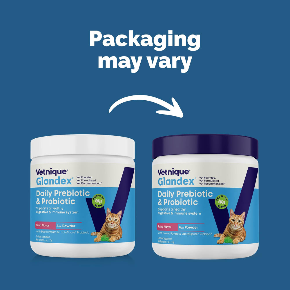 Vetnique Glandex Chat doseuse-poudre-thon: dosage précis et pratique