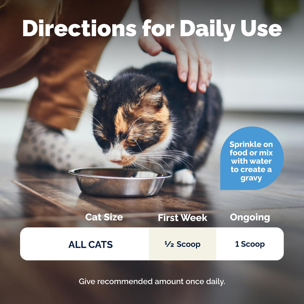 Vetnique Glandex Chat servir-nourriture-thon: saveur appréciée