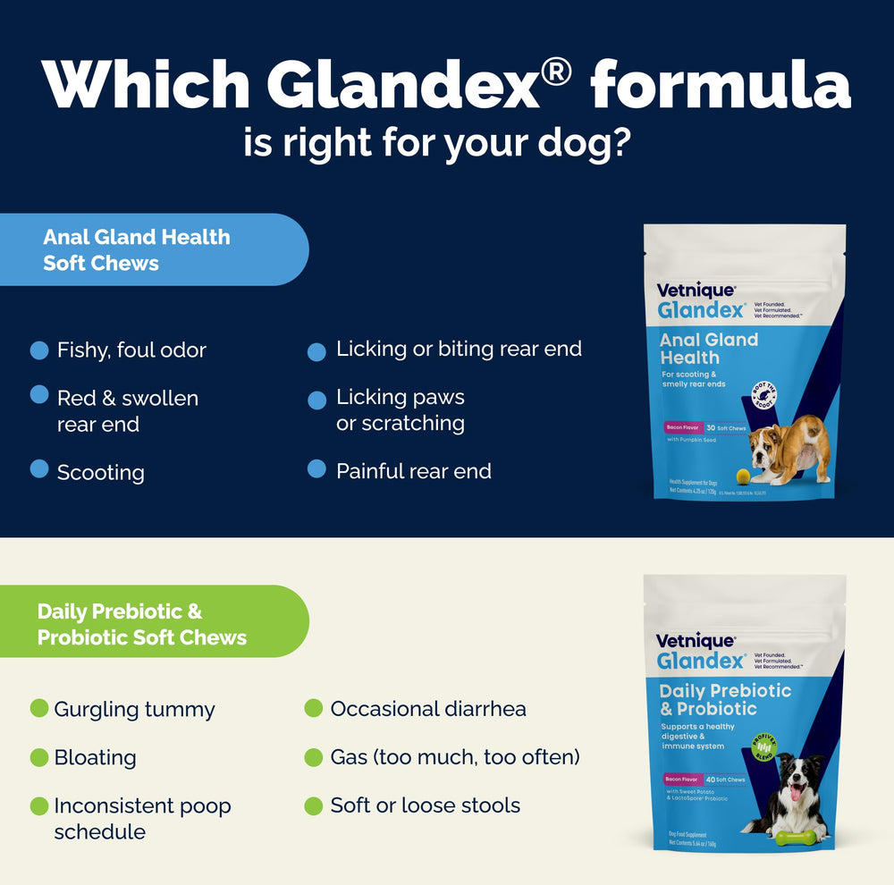 Vetnique Glandex – emballage pratique incluant 60 bouchées pour chiens.