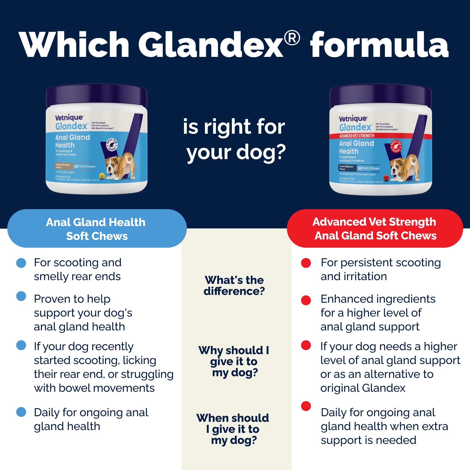 Mode d'emploi Vetnique Glandex: dosage quotidien selon le poids.