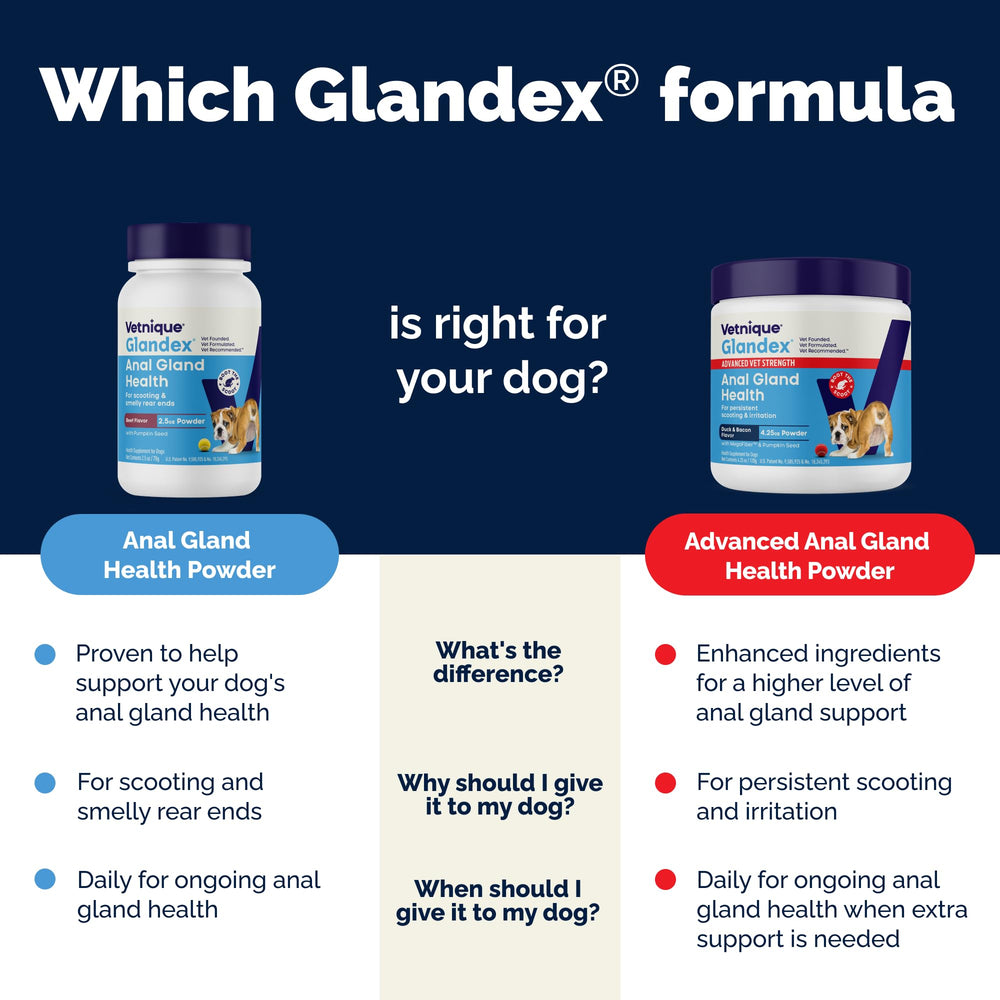 Vetnique Glandex formule unique, fibres et enzymes pour un support digestif