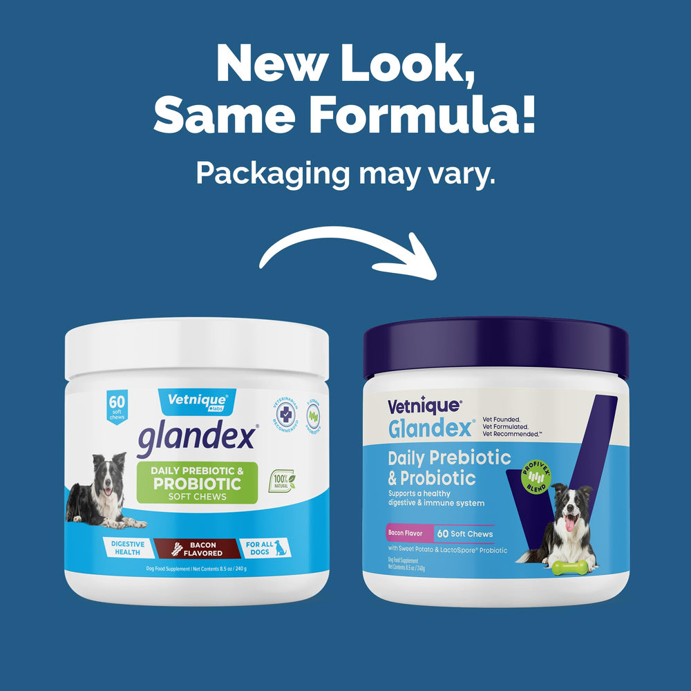 Vetnique Glandex – poudre probiotiques bacon pour chien, saupoudrage facile.