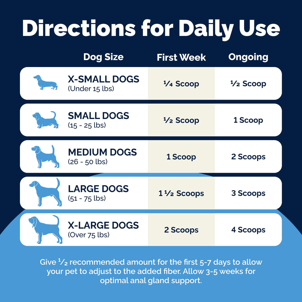 Prébiotiques et probiotiques: duo pour la flore digestive du chien.