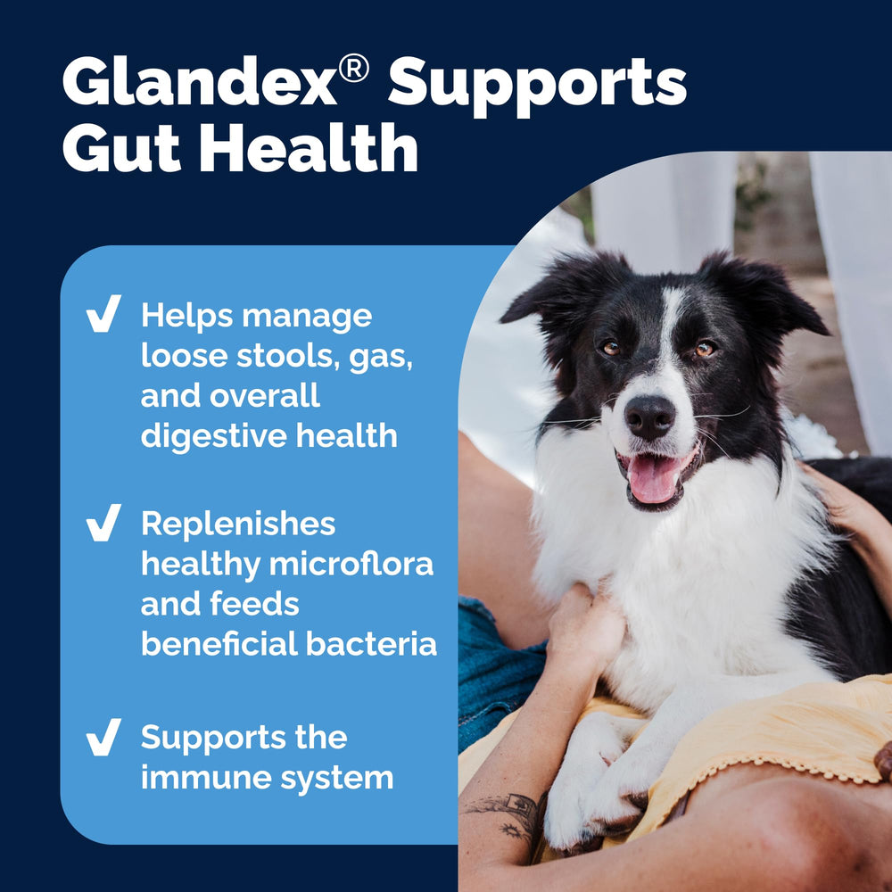 Vetnique Glandex – probiotiques et enzymes digestives pour douceur après les repas.