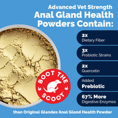 Probiotiques dans Glandex offrant un équilibre intestinal durable.