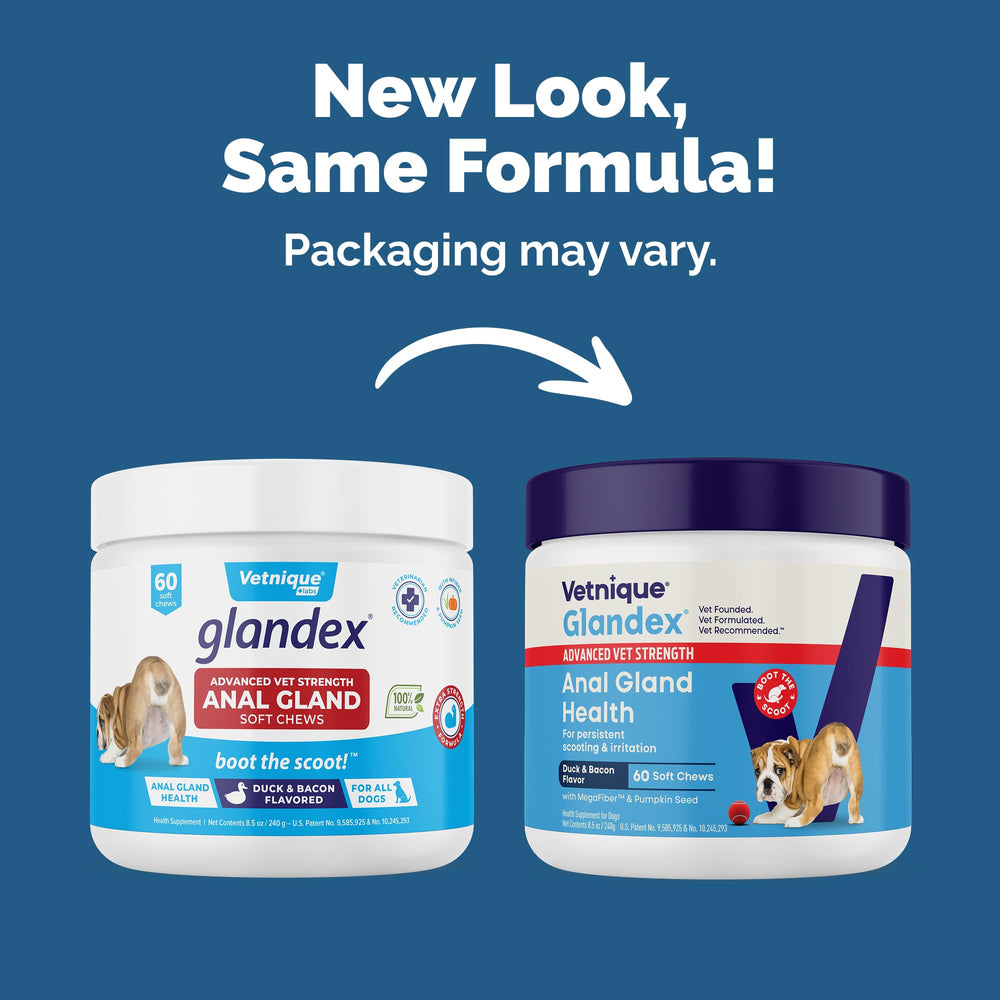 Glandex Vetnique avec citrouille et fibres pour chiens