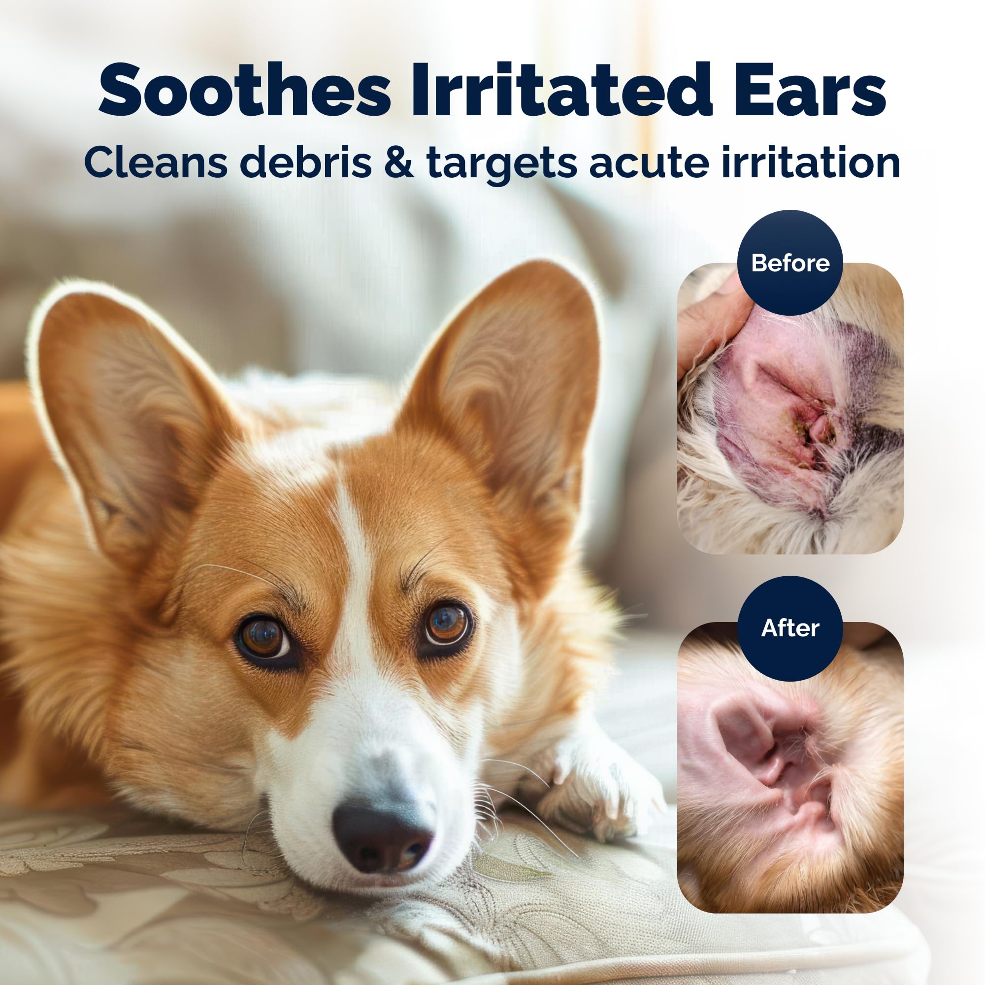 Vetnique Oticbliss chat-dog-oreille-sante adapté à tous les âges et favorise un environnement auditif sain.