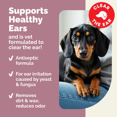 Extrait Aloe Vera apaisant dans Oticbliss pour oreilles