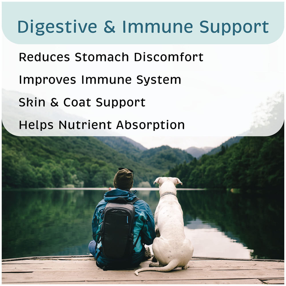 VetOne Advita soutient potentiellement le système immunitaire des chiens.
