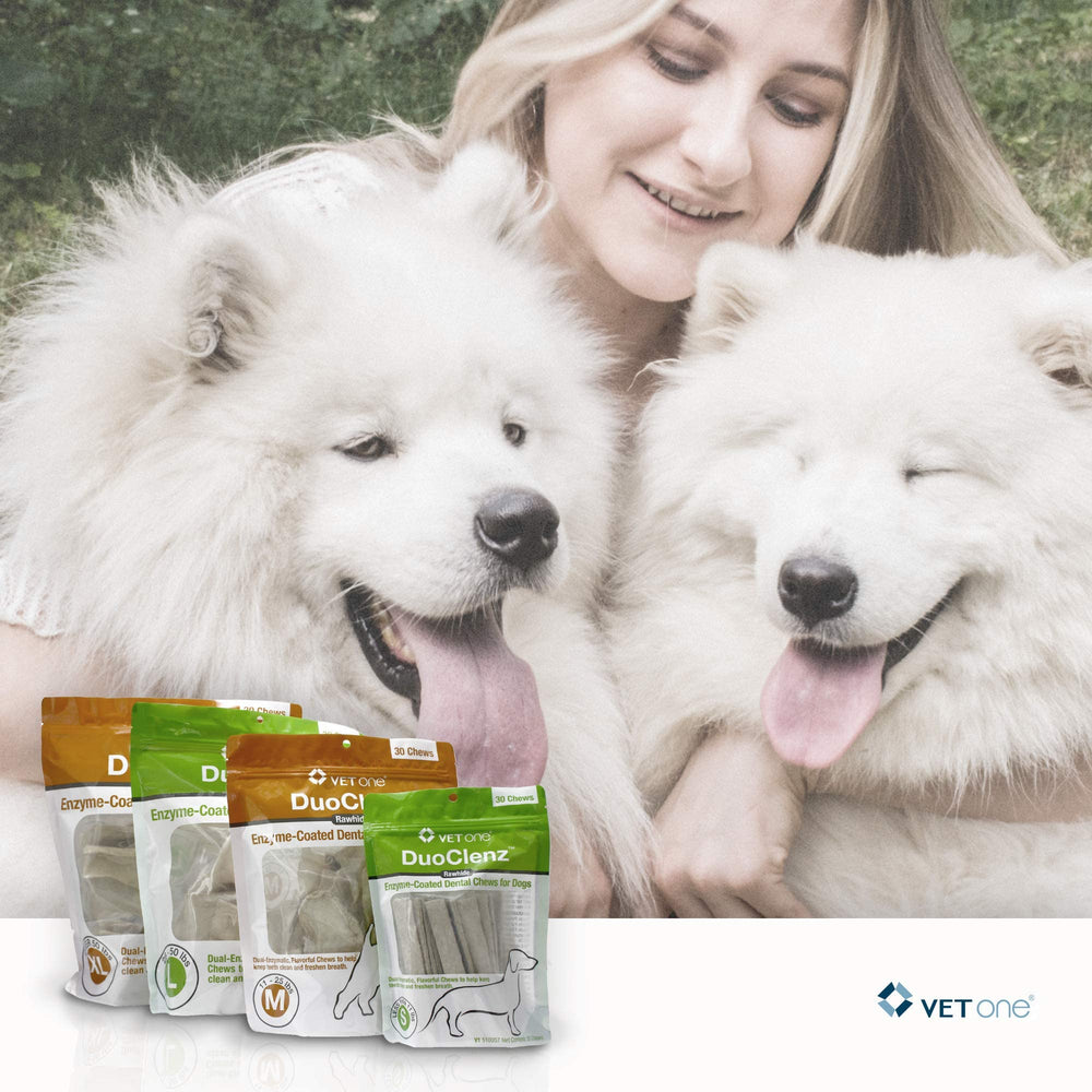 DuoClenz: utilisation quotidienne adaptée chiens extragrands