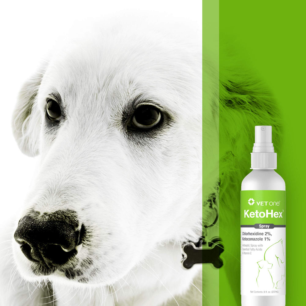 Vet One Ketohex Spray avec embout precis pour une application ciblée et mesurée.