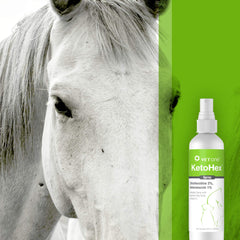 Vet One Ketohex Spray illustre une dose mesurée et une utilisation fluide.