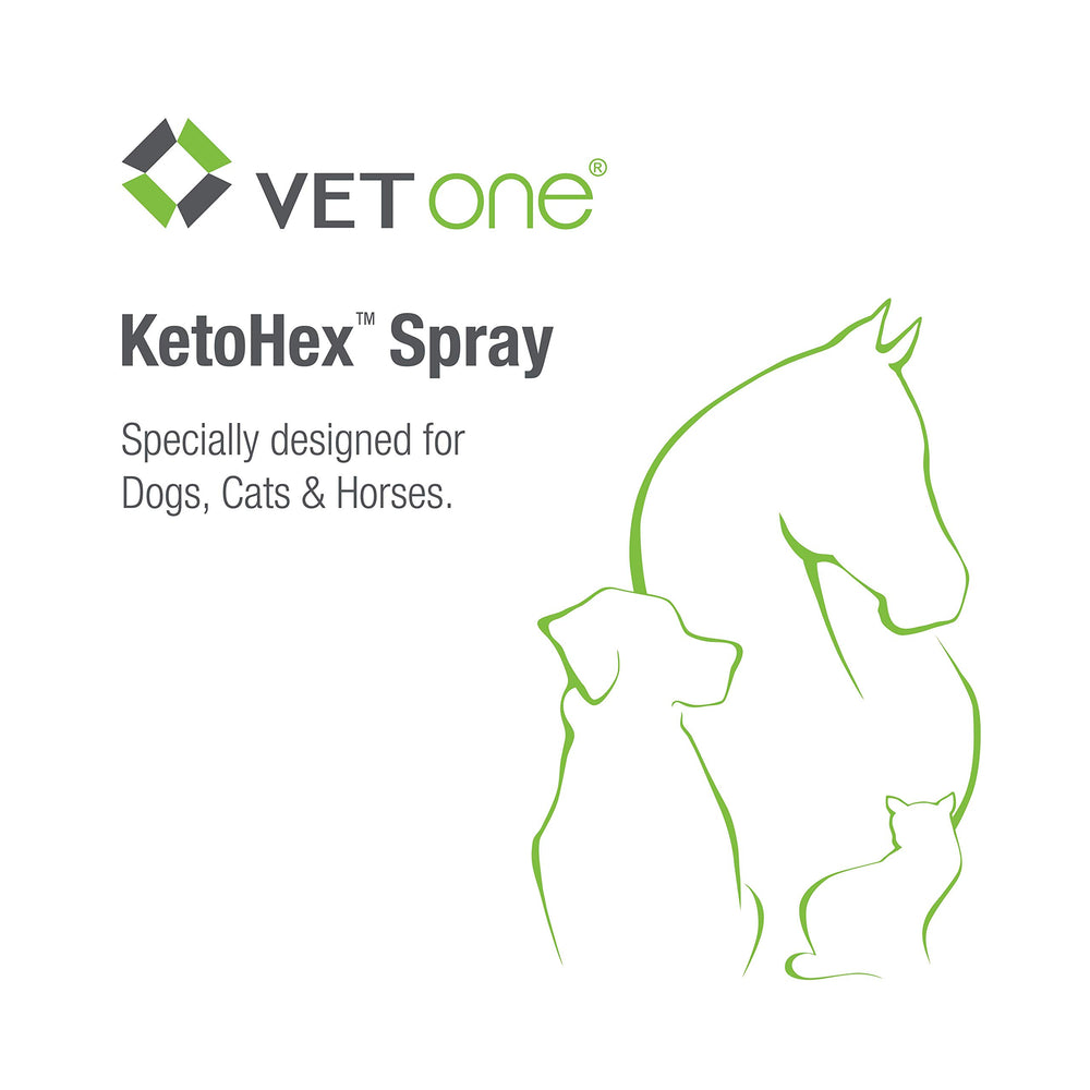 Vet One Ketohex Spray flacon robuste et léger pour une manipulation facile.