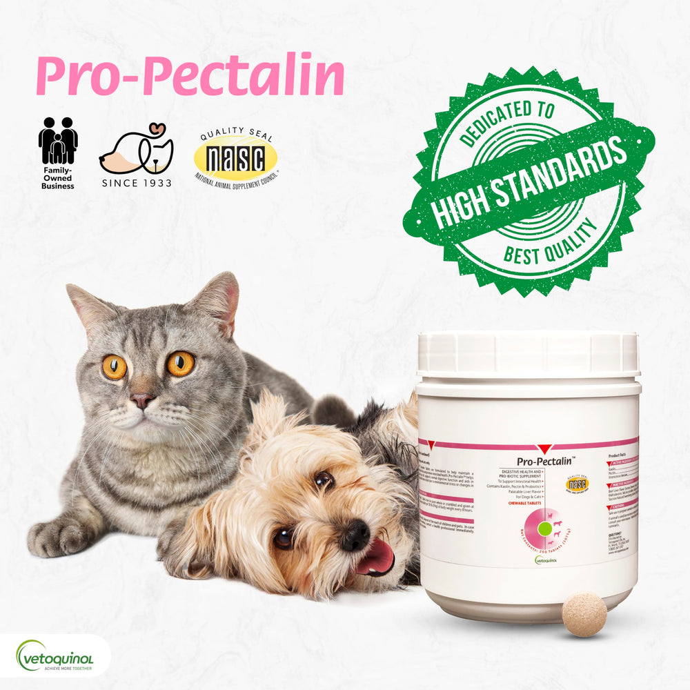Pro-Pectalin utilisé en contexte de voyage, solution pratique pour la diarrhée occasionnelle.