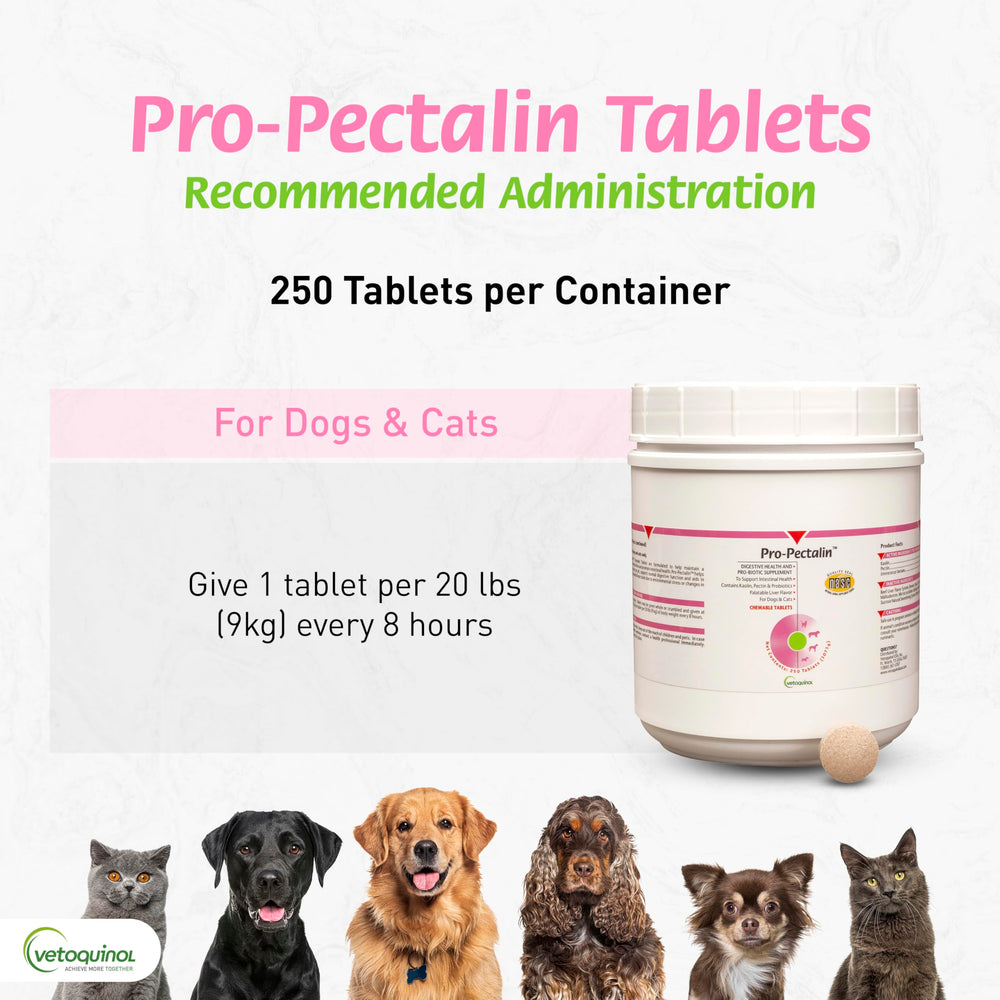 Boîte Pro-Pectalin présentant 250 comprimés pour chiens et chats.