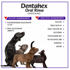 Vetoquinol Dentahex plaque dentaire ciblée aide l'accumulation