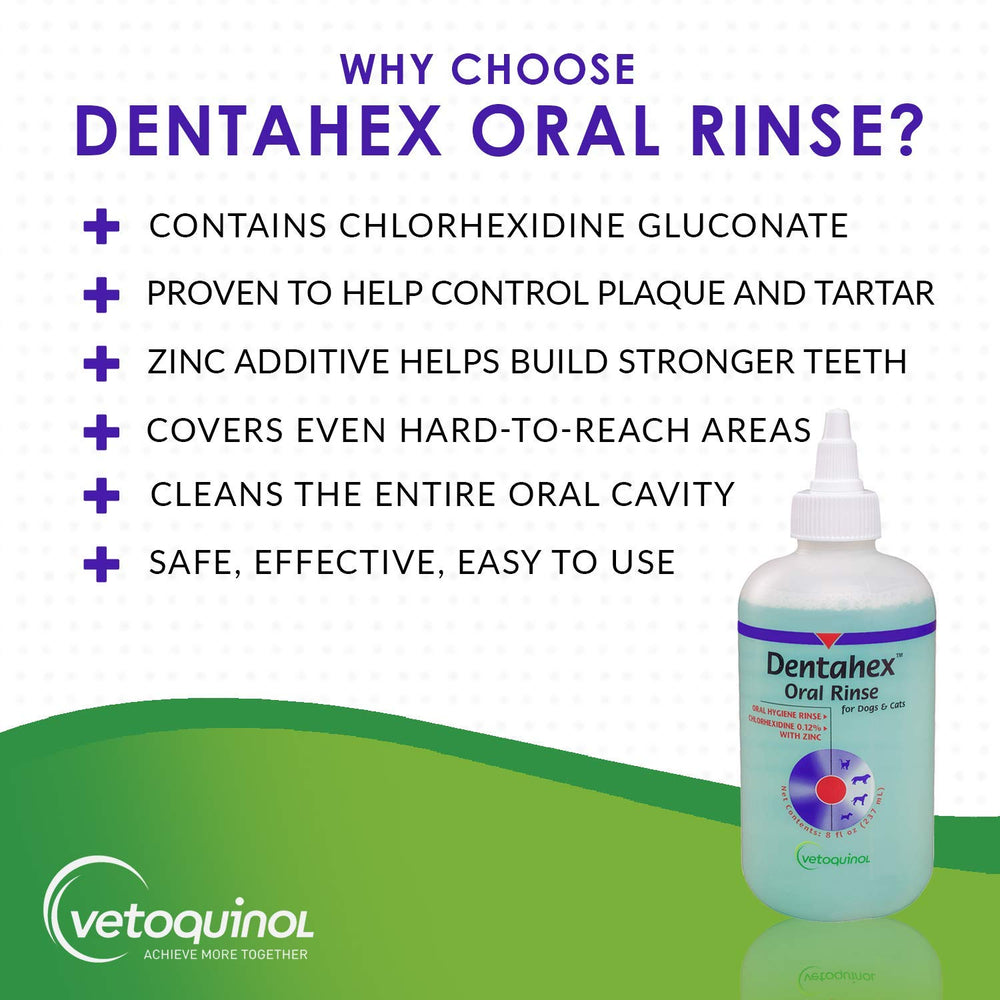 Vetoquinol Dentahex chat pulvérisation simple réduisant la plaque