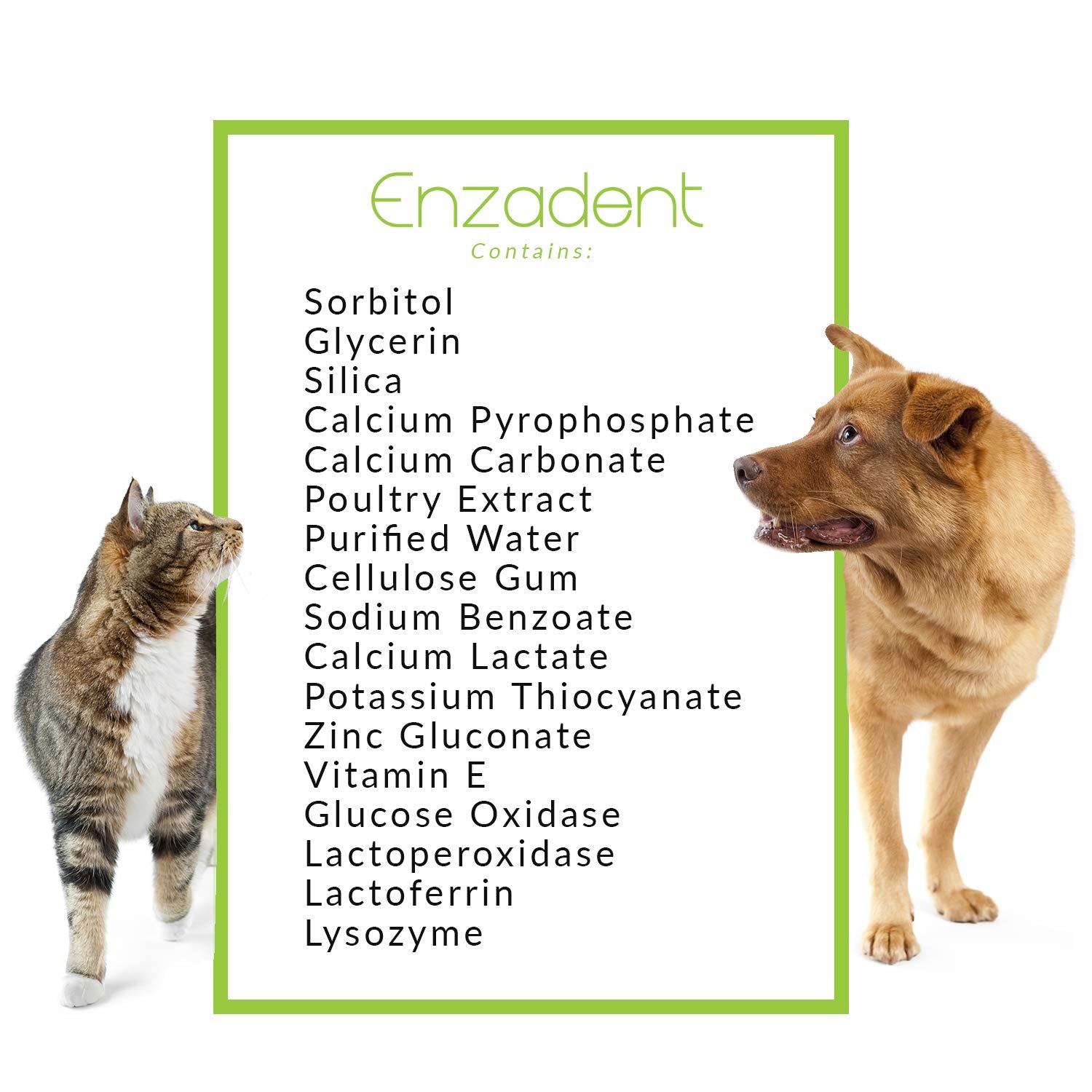 Vetoquinol Enzadent brossage des dents chez le chat