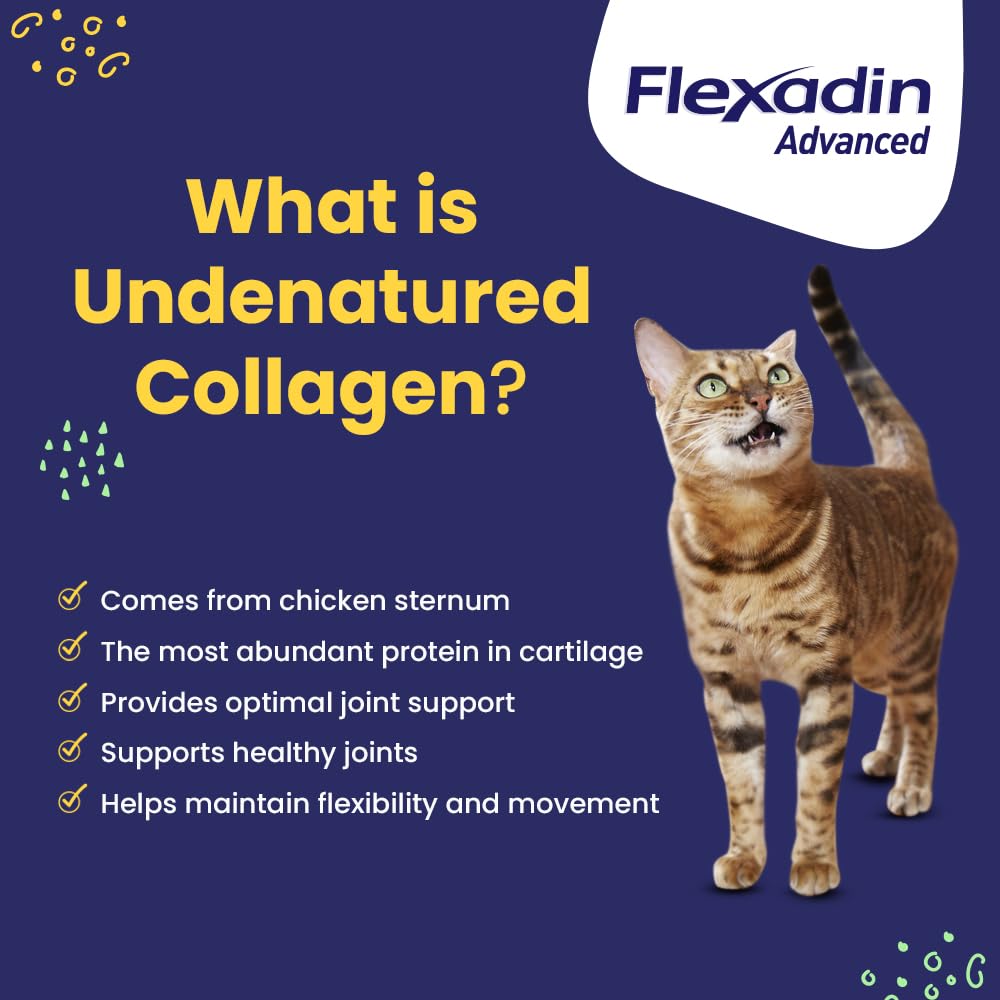 Étiquette Flexadin Avancé et notice, guide clair d'utilisation vétérinaire.